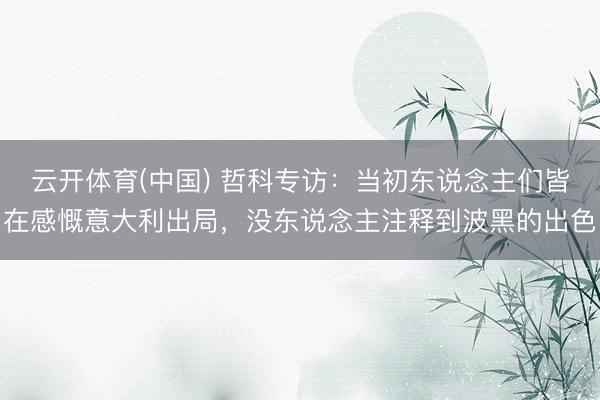 云开体育(中国) 哲科专访:当初东说念主们皆在感慨意大利出局,没东说念主注释到波黑的出色