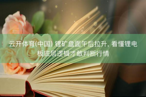 云开体育(中国) 锂矿盘面午后拉升， 看懂锂电板底层逻辑才敢判断行情