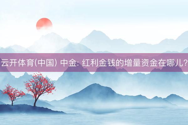 云开体育(中国) 中金: 红利金钱的增量资金在哪儿?