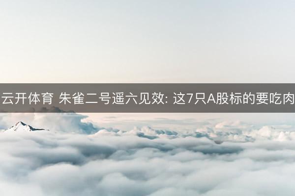云开体育 朱雀二号遥六见效: 这7只A股标的要吃肉