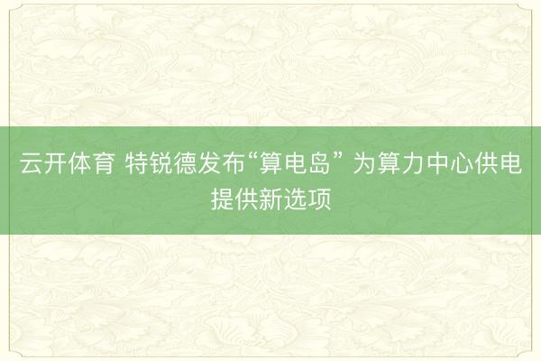 云开体育 特锐德发布“算电岛” 为算力中心供电提供新选项