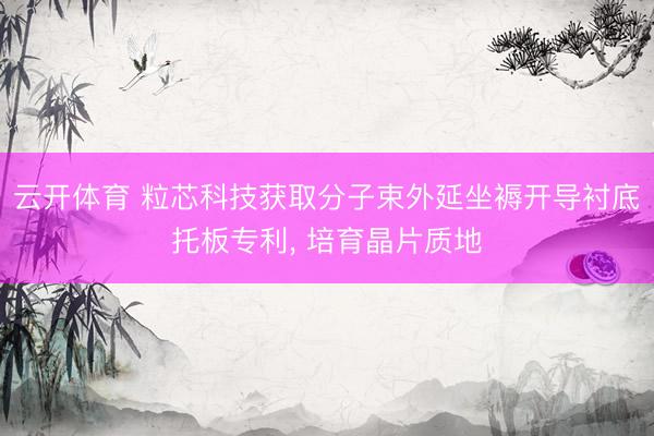 云开体育 粒芯科技获取分子束外延坐褥开导衬底托板专利, 培育晶片质地