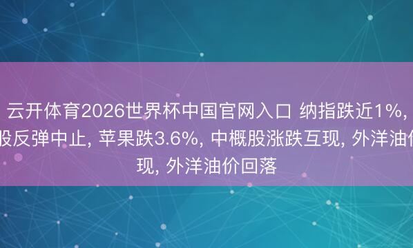 云开体育2026世界杯中国官网入口 纳指跌近1%， 芯片股反弹中止， 苹果跌3.6%， 中概股涨跌互现， 外洋油价回落