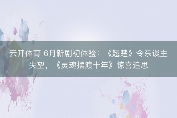 云开体育 6月新剧初体验：《翘楚》令东谈主失望，《灵魂摆渡十年》惊喜追思