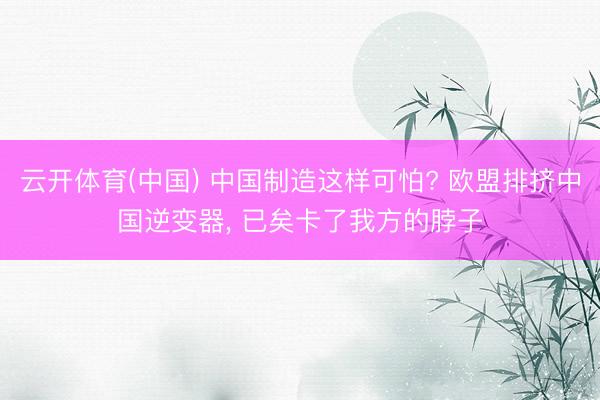 云开体育(中国) 中国制造这样可怕? 欧盟排挤中国逆变器， 已矣卡了我方的脖子