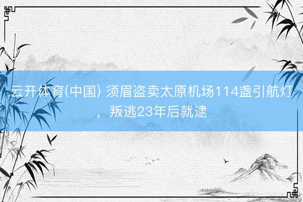 云开体育(中国) 须眉盗卖太原机场114盏引航灯，叛逃23年后就逮